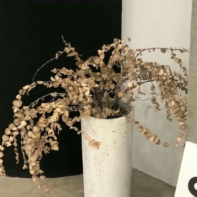 Furry插画细节刻画兽圈社群